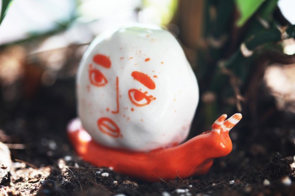 Orange porcelain snail among leaves and dirt. 