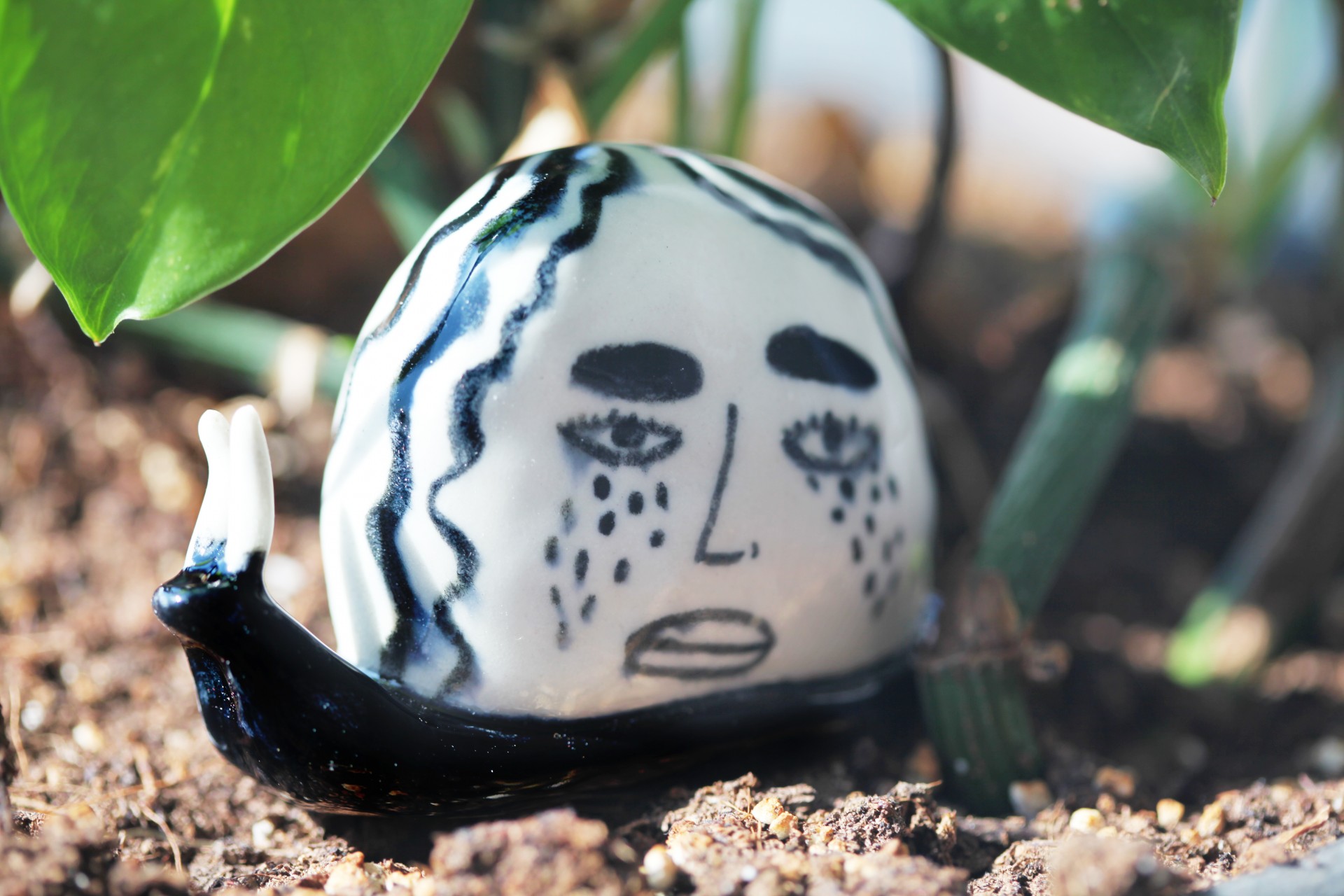 Black porcelain snail among leaves and dirt. 