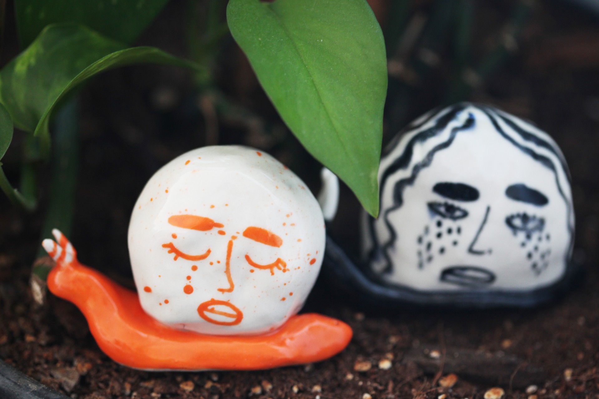 Orange and black porcelain snails among leaves and dirt. 