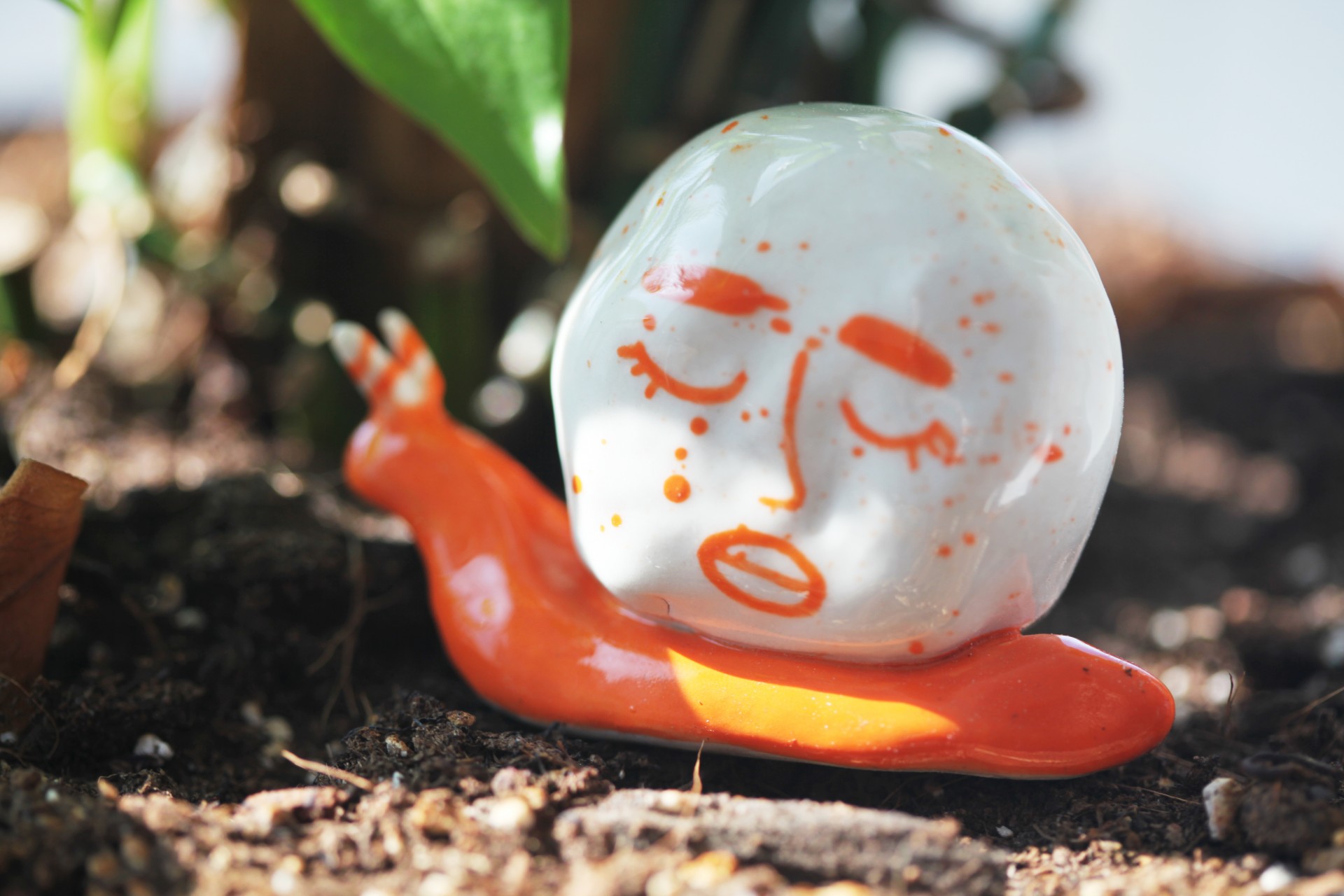 Orange porcelain snail among leaves and dirt. 