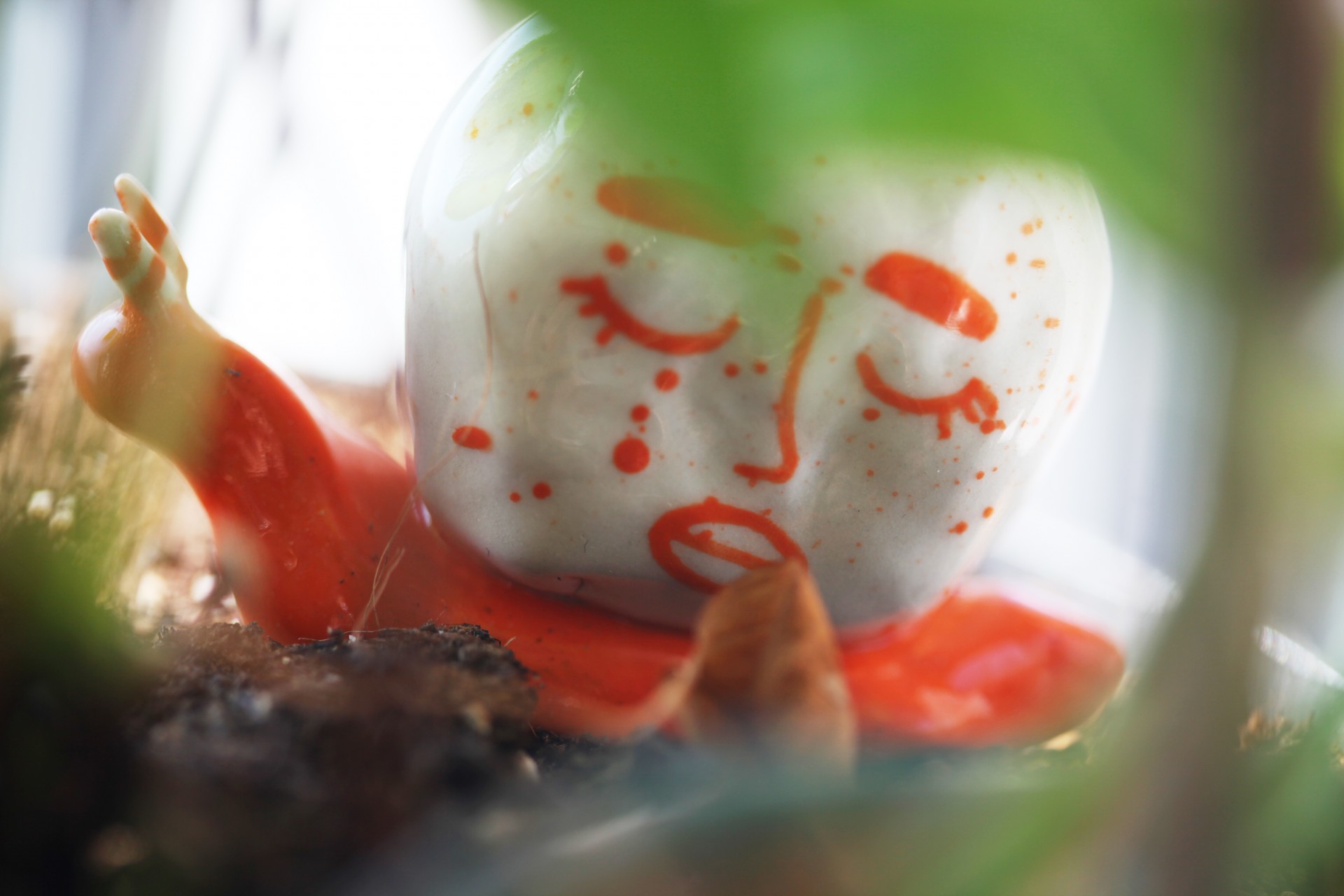 Orange porcelain snail among leaves and dirt. 