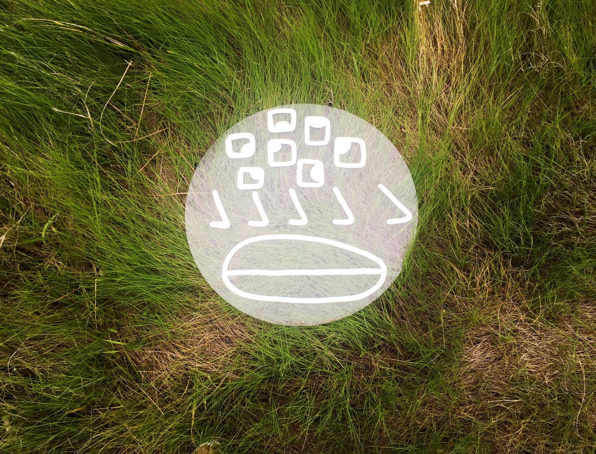 Drawing of a face with seven eyes, five noses and one mouth painted in white on circle piece of glass on green grass 
